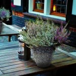 Keramični lonec Home Gardens 928.002.17